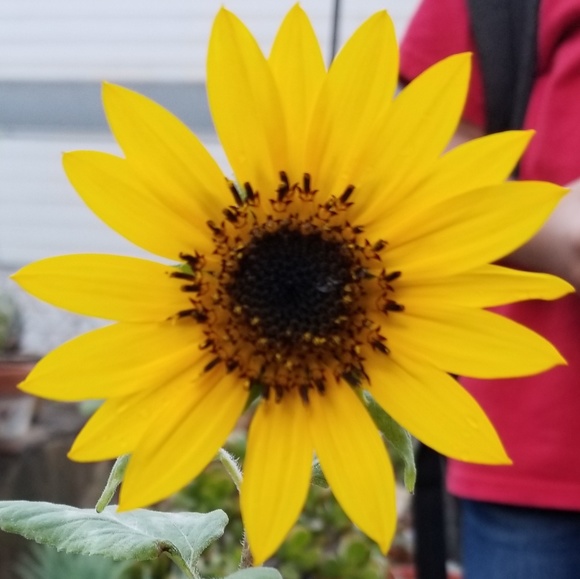 Hi! Thank You For Stopping By... - Picture 2 of 2